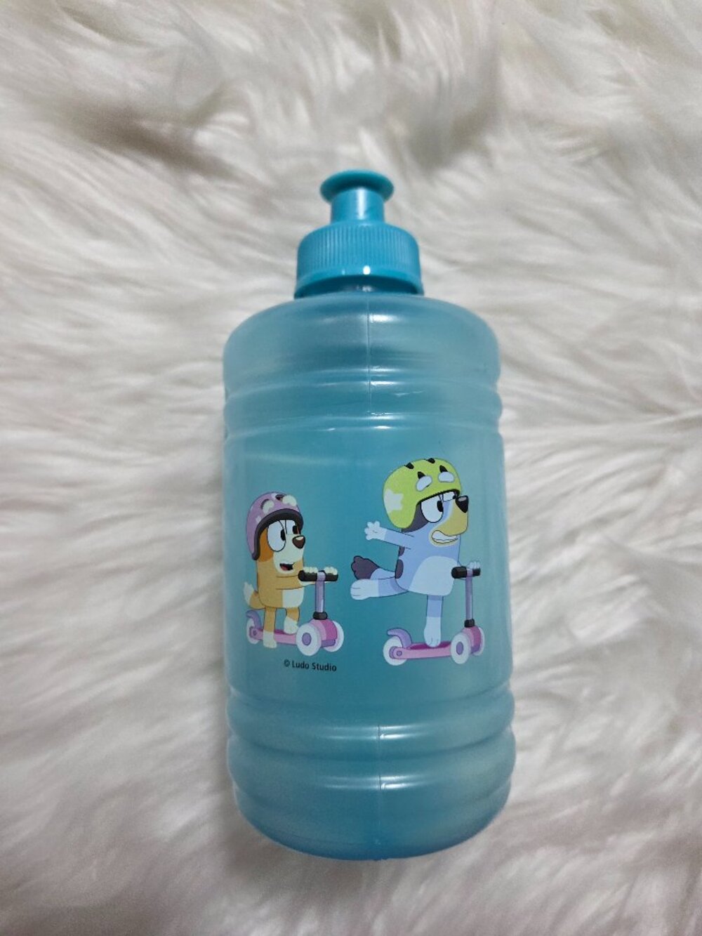 Bluey Water Bottle